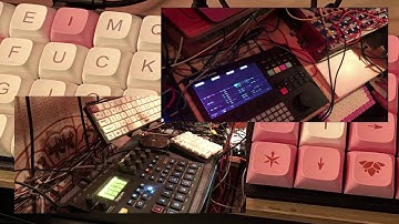 Polyend  Tracker et Digitakt