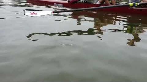 First row with RANDALLfoil’s