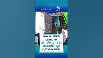 BÃO KALMAEGI CUỒNG NỘ: Giật Cấp 17 – Biển Đông Cảnh Báo Cực Nguy Hiểm!
