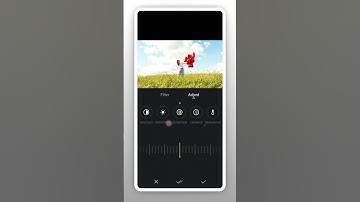 Add Vignette to a Video - VN video editor tutorial #shorts