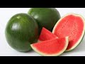 #بطيخة_حمراء#دلاح🍉 🍉 أزاي تختار بطيخة حمراومسكرة ومرملة تعالو شوفو ازاي تنقوا البطيخ(دلاح) بسهوله 🍉