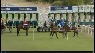 RIPON RACE -7  AUGUST 15,2026