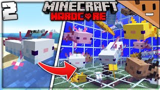 I Made a GIANT Axolotl Farm in Minecraft Hardcore (#2)