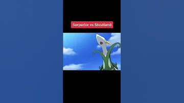 Rosa S Serperior Vs Cheren S Stoutland 