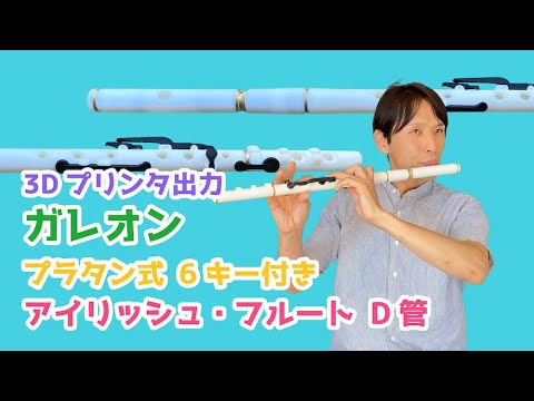 3Dプリンタ ガレオン 6キー付き アイリッシュ・フルート D管 - YouTube