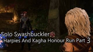 Solo Swash Buckler Mephits Harpies And kagha HM Part 3