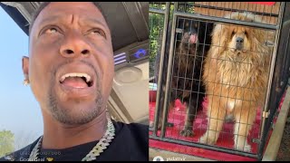 Look How Big They Got" Boosie Give Tour Of The Dogs For Sale At His Kennel In Batman Mansion