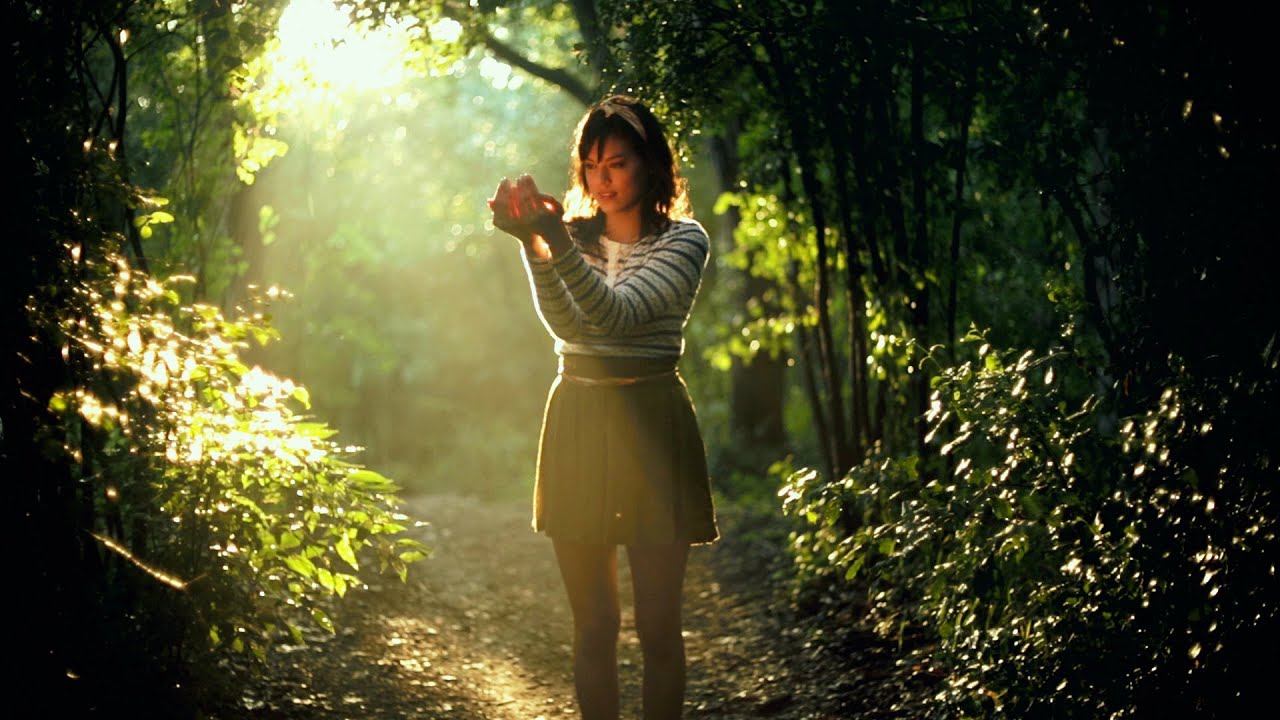 Threadless Select Fall 2013 Collection