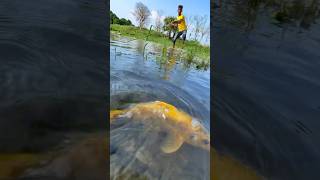 Very amazing fishing video #tetafishing #bigfish #shorts