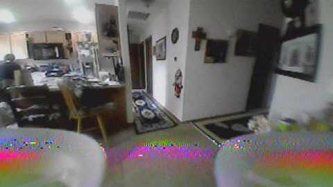 Inductrix FPV Whoop on Sunday