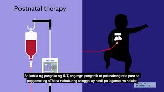 IUT gives meaningful survival to fetuses with alpha thalassemia major  (Tagalog translation)