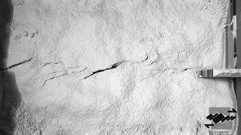 Strike - slip experiments using gypsum powder