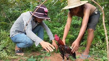 The Forrest chicken Trap|| chicken trap || Best way to wild chicken#2