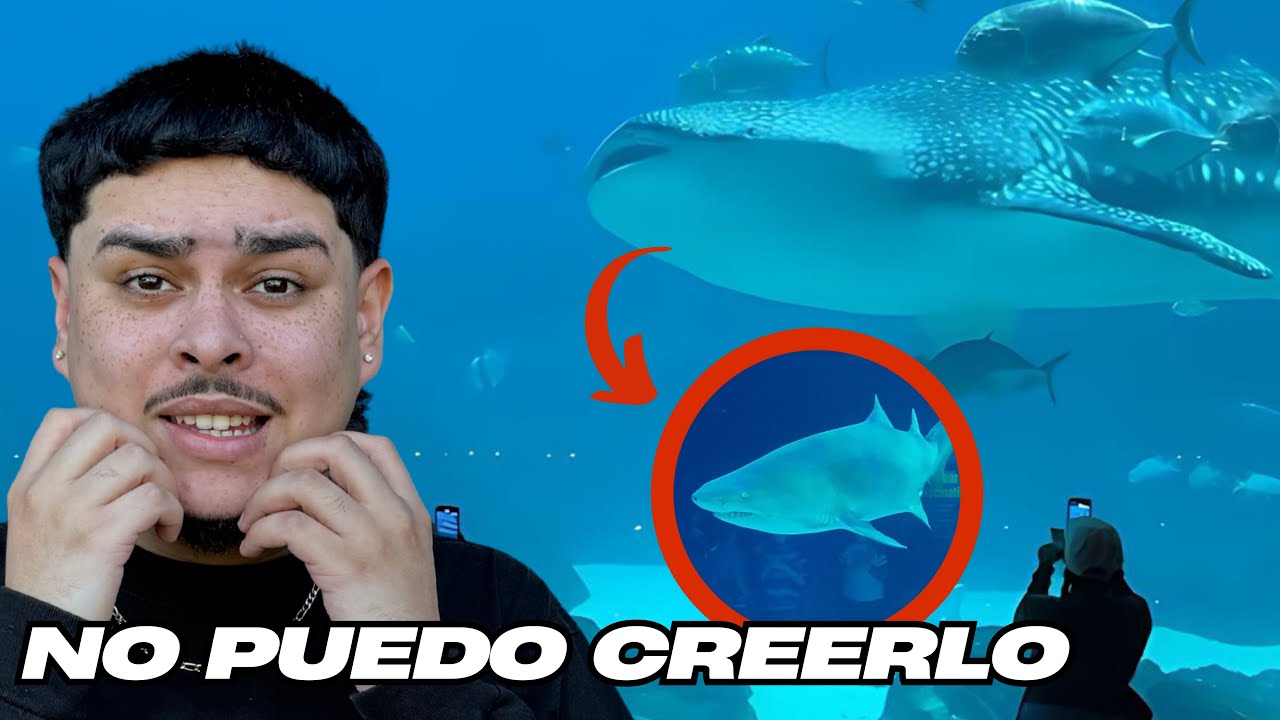 EL ACUARIO MAS GRANDE DE AMERICA Y PASA ESTO… - YouTube