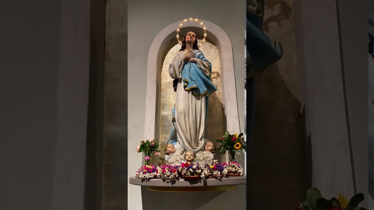 Una preghiera alla Madonna Assunta in cielo 🙏♥️ - YouTube