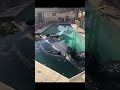 Mettez des pov je réponds
