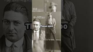 Australian mugshots look like something out of a movie