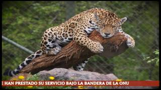 CNDH NOTICIAS (Programa 21)