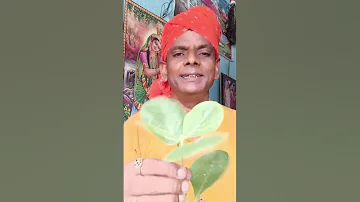 Viral Baba In Nepal How To Viral Baba Manoj A Short Video 