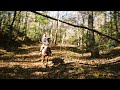 PATH FINDER - 𝕺𝖉𝖞𝖘𝖘𝖊𝖚𝖘 (prod. by Colt5n)
