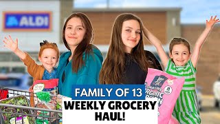 Big Family Weekly Grocery Shopping: What's New at ALDI?