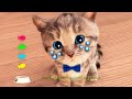 Little Kitten Preschool Adventure Educational Games iOS - Play Fun Cute Kitten Pet Care Learning