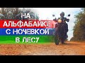 Покатушка на АльфаБайке с ночевкой в лесу.