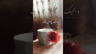 اغنيه فيروز ياقلبي لا تتعب قلبك 🥰حالات واتساب☕🌺