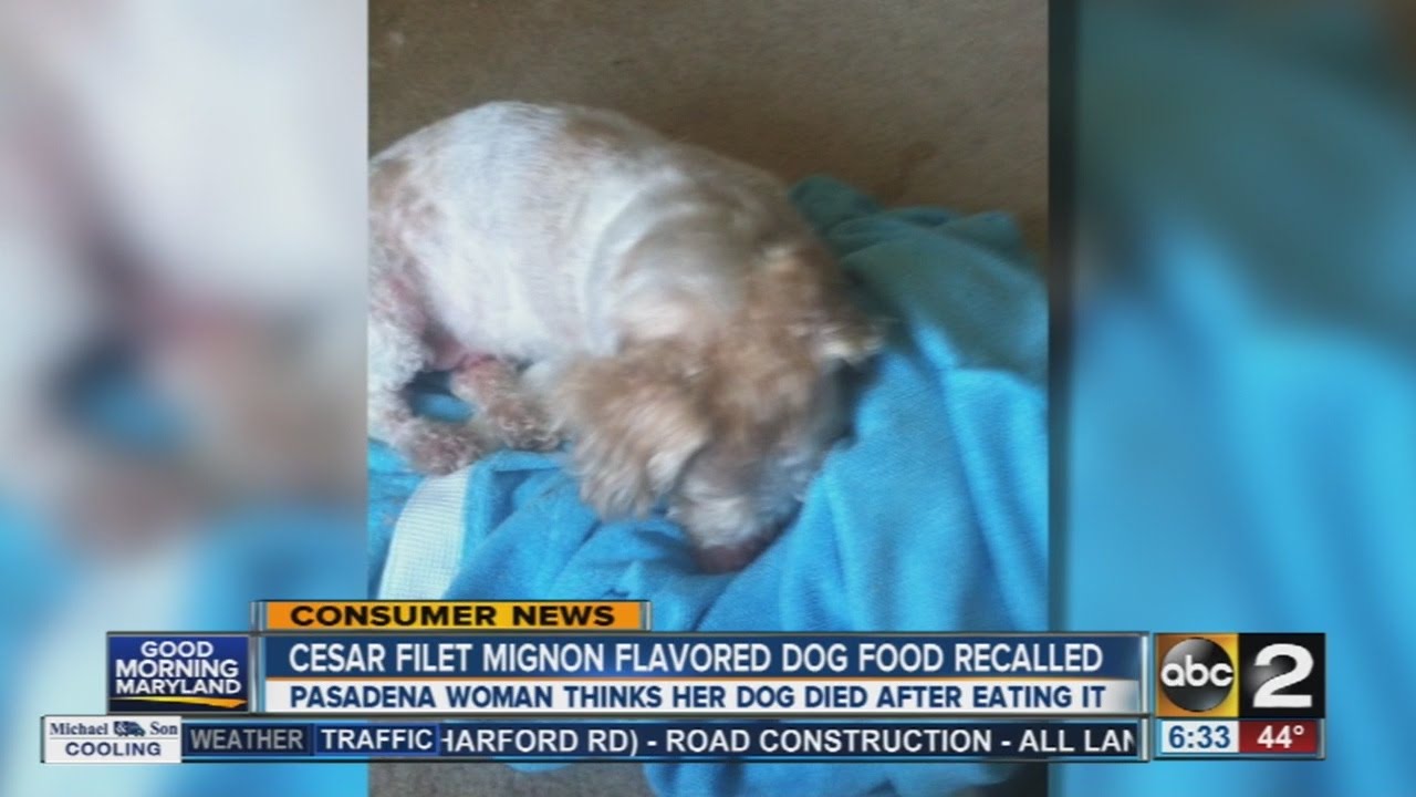 Pasadena Woman Believes Her Dog Died After Eating Recalled Dog Food