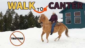 HOW TO TEACH A HORSE TO CANTER FROM THE WALK