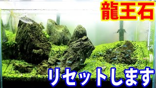 ADAの龍王石で組んだ岩組み水槽をリセットします - YouTube