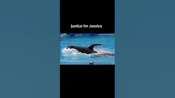 لحظة هجوم حوت الاوركا والمدربة جيسيكا Justice اكسبلور Lovesong موت جيسكا الدولفين 