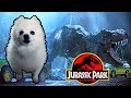 JURASSIC PARK em CACHORRÊS