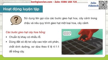 Giáo án powerpoint Bài 4: Gieo hạt hoa, cây cảnh trong chậu | GA điện tử Công nghệ 4 KNTT