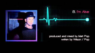Peter Wilson - Pulsation: 15 track album sampler