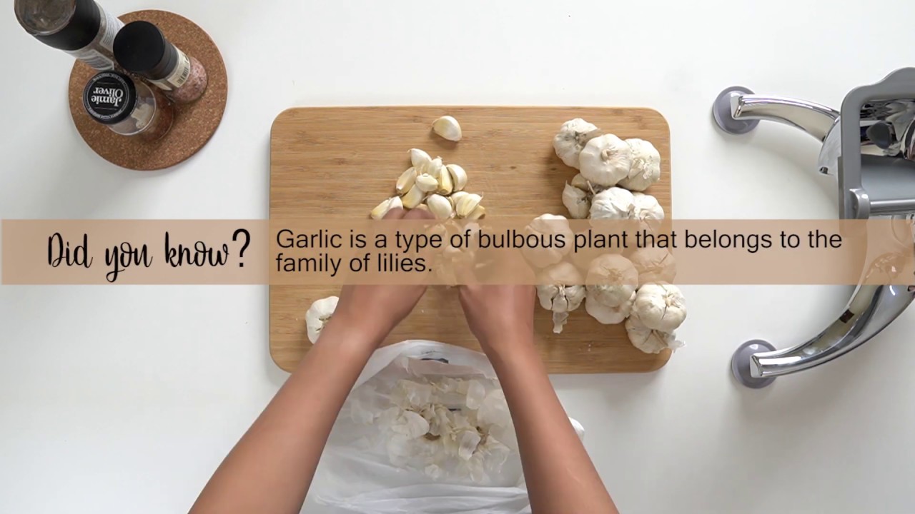 BENEFITS OF GARLIC! We used Saladmaster Food Processor for the First