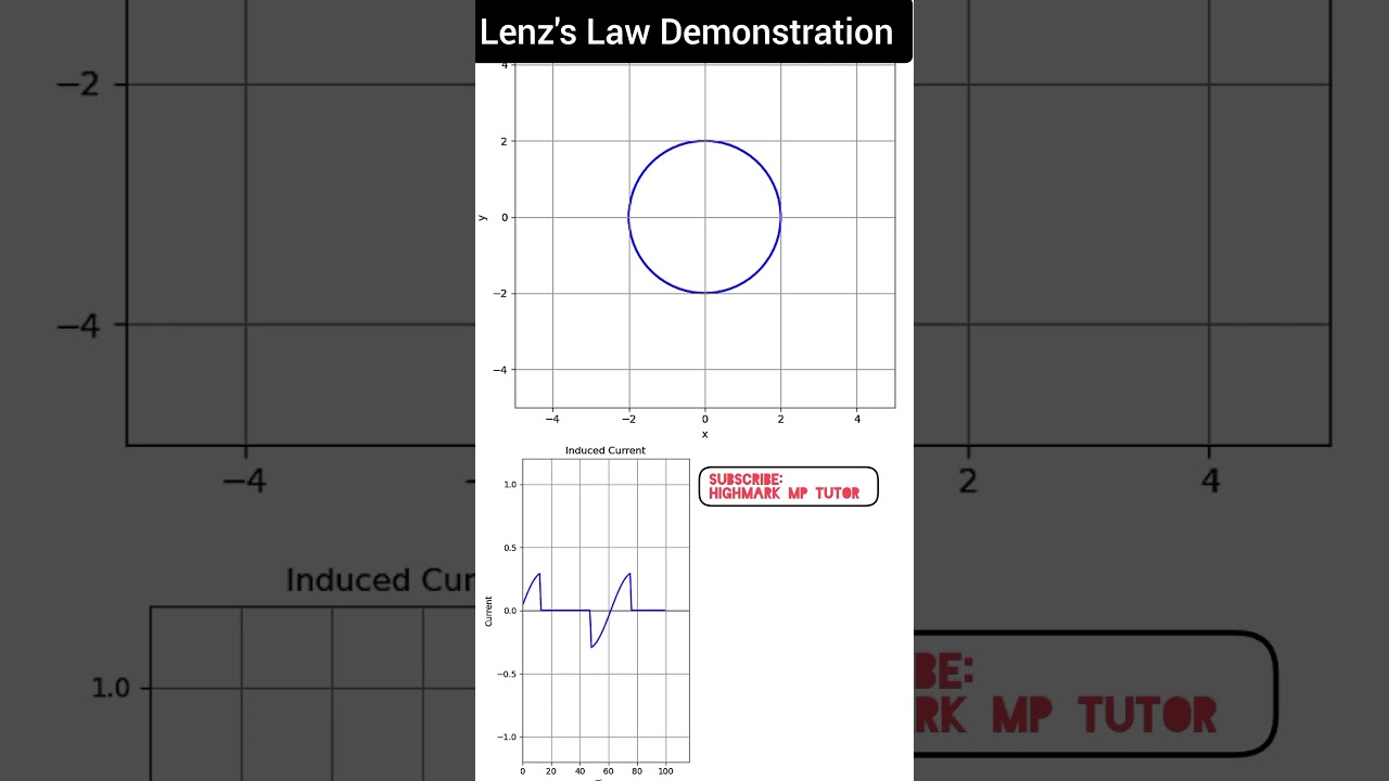 Lenz's Law Demonstration 