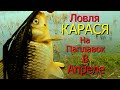 ЛОВЛЯ КАРАСЯ НА ПАПЛАВОК В АПРЕЛЕ