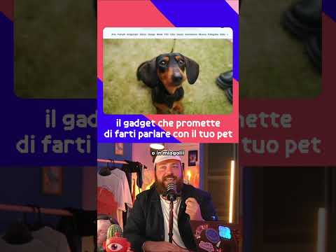 L'AI che Capisce il tuo Animale Domestico #shorts