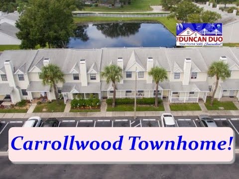 5324 ABINGER COURT, Tampa, FL home video tour