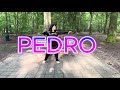 PEDRO - Jaxomy, Agatino Romero, Raffaella Carrà | Zumba Choreography