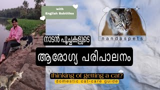 Domestic Cat Care Guide @NANDASPets by NANDAS pets 340 views 11 months ago 8 minutes, 34 seconds