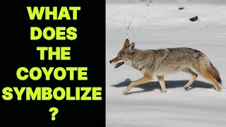 WHAT DOES THE COYOTE SYMBOLIZE ?