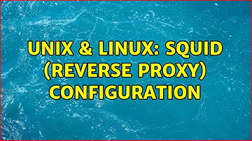 Unix & Linux: squid (reverse proxy) configuration (2 Solutions!!)
