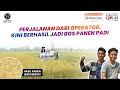 Kisah Perjalanan Sukses Operator, Kini Jadi Bos Panen Padi berkat Quick QH-11