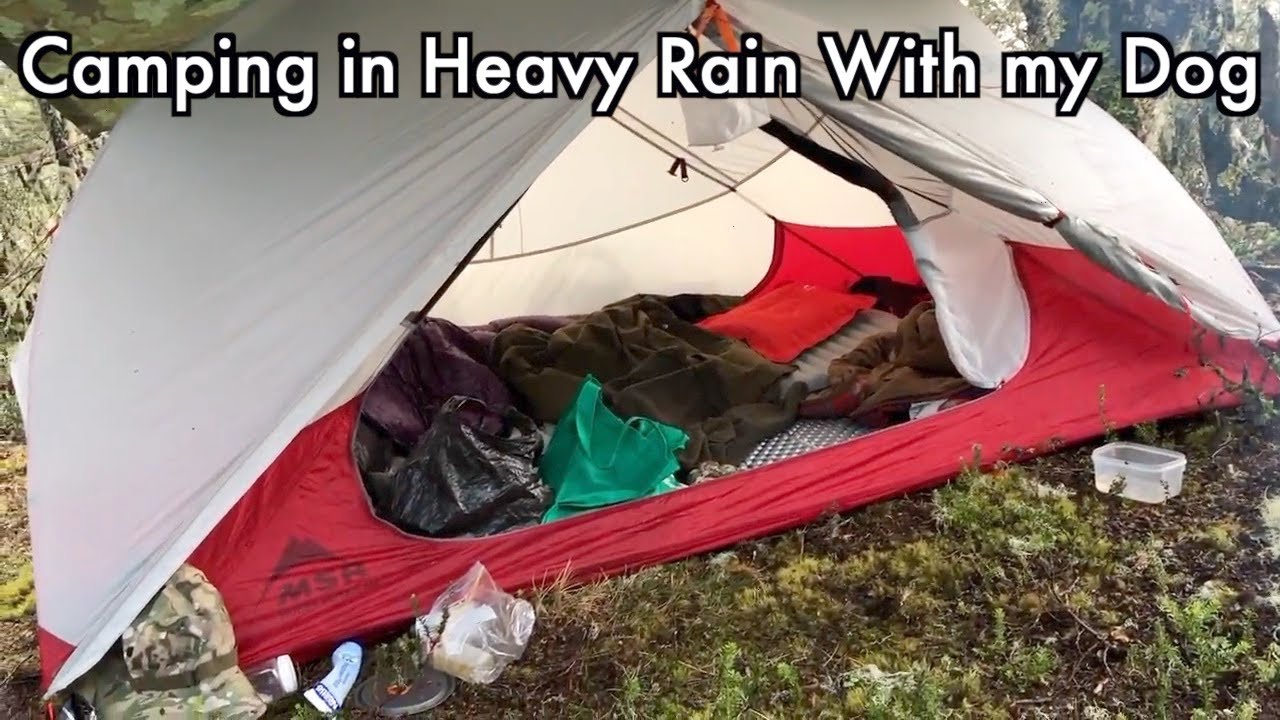 ⁣Camping in the Rain - Tent, tarp, cooking and dog