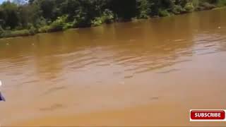 mancing ambyar TIBA TIBA JORAN MELIUK DAN IKAN MONSTER