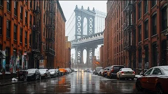 Rainy & Cold Walk from DUMBO to Chinatown | Noisy Manhattan Bridge Walk