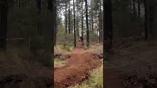 Volcanic Loam#mtb #mtblife #mondraker #Bosch #ebike