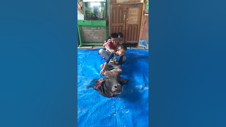 Gaskan kepala hewan qurban